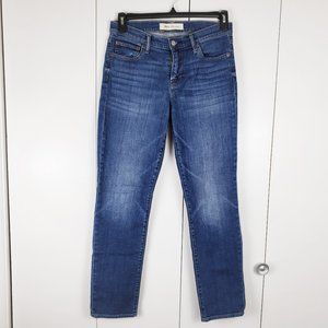 Gap 1969 Real Straight Jeans, 28R